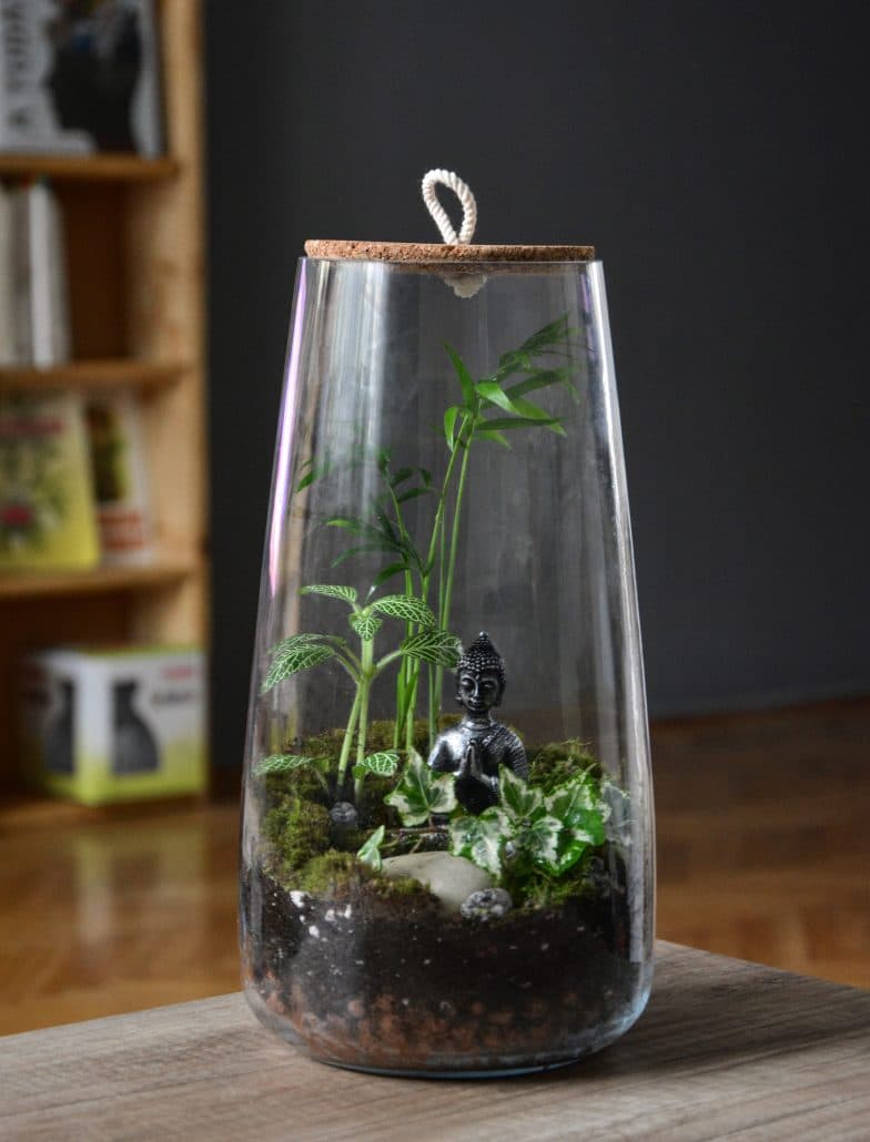 TERRARIUM IDEE CADEAU ESCAPE KIT ESCAPE GAME